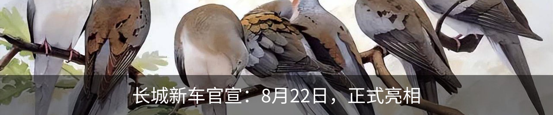 资讯动态