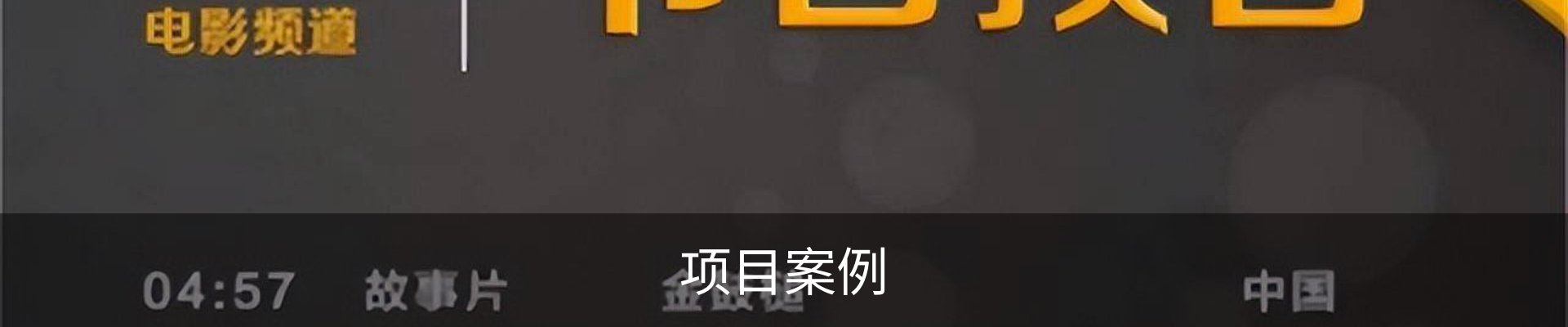 项目案例